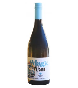 Magic Van blanc 2023 -...